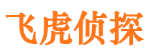 东安市私家侦探